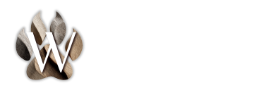 Wildhain Logo
